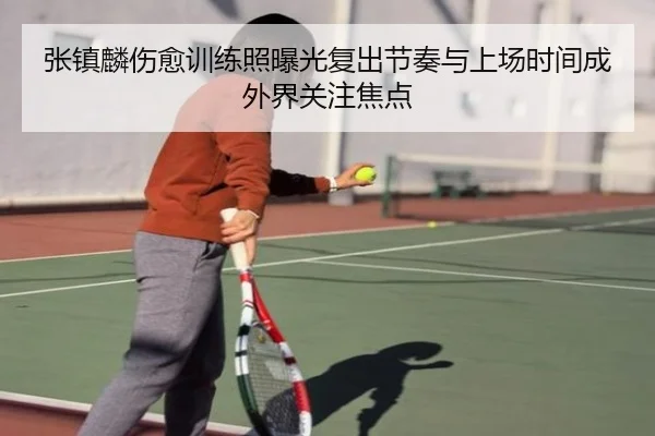 张镇麟伤愈训练照曝光复出节奏与上场时间成外界关注焦点（QYG）